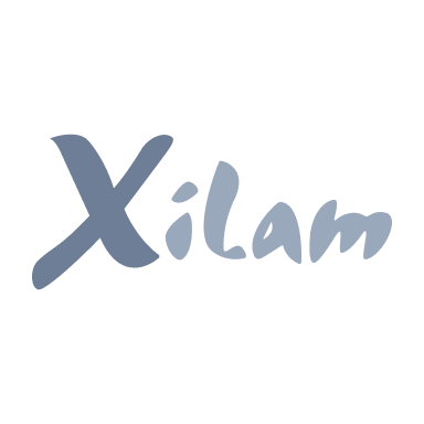 Logo Xilam Animation grisé